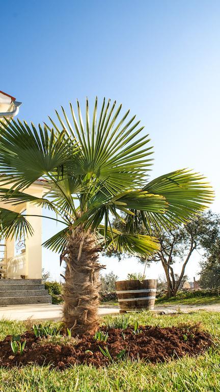 Guest House Croatia Fažana Extérieur photo